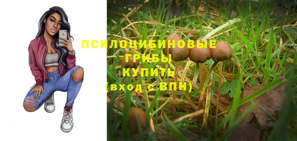 дживик Абинск