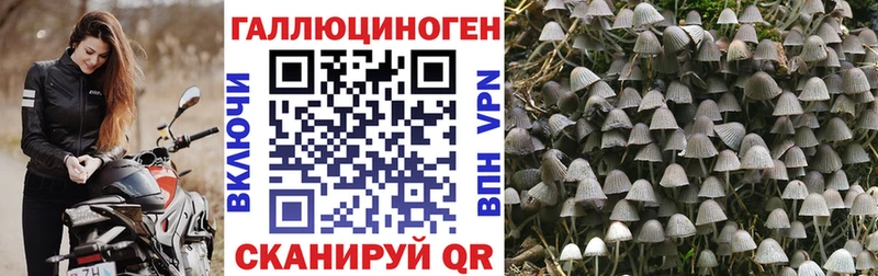 Псилоцибиновые грибы ЛСД  Чебаркуль 